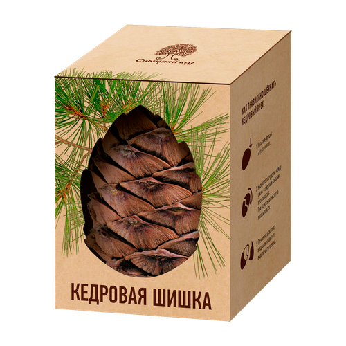 Кедровая шишка / коробка / шт / Сибирский кедр