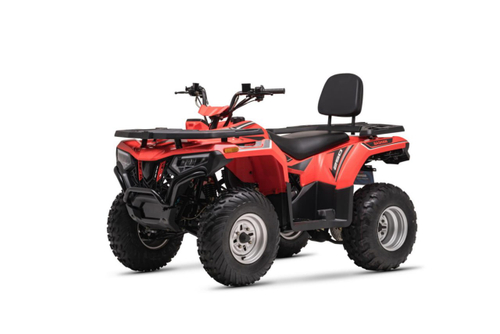 Квадроцикл Bashan BS200AU-19 зеленый