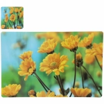 Салфетка на стол 43*28см в наборе 6+6шт «Хризантемы»