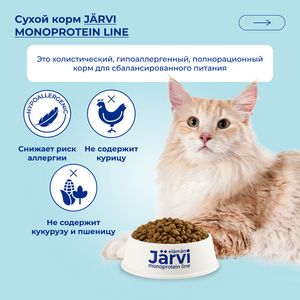 Сухой монопротеиновый корм Jarvi для взрослых кошек для здоровой кожи и красивой шерсти, говядина