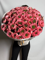 Коралловая любовь