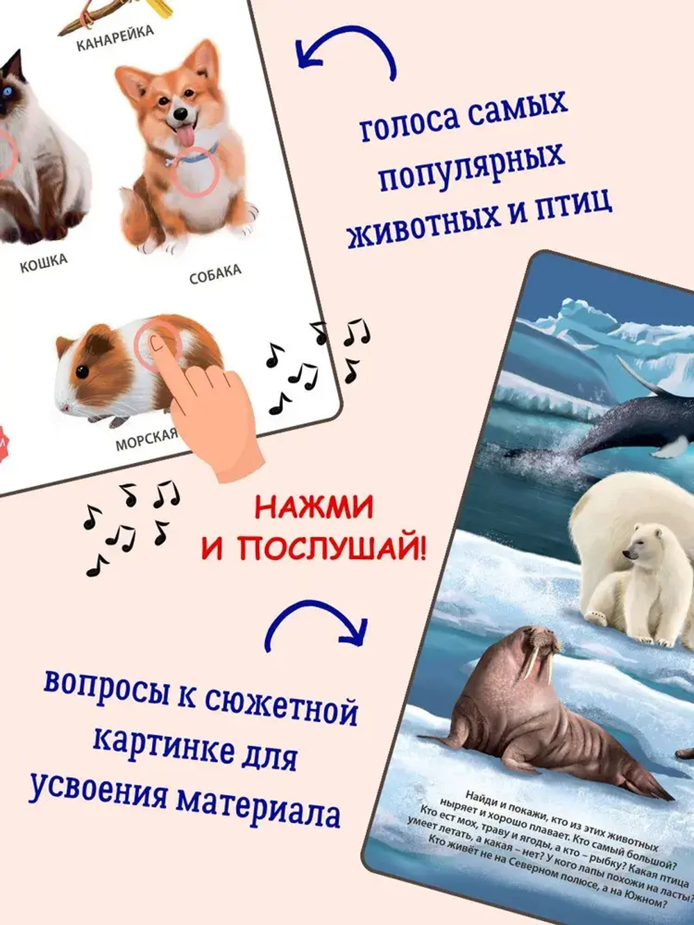50 звуков