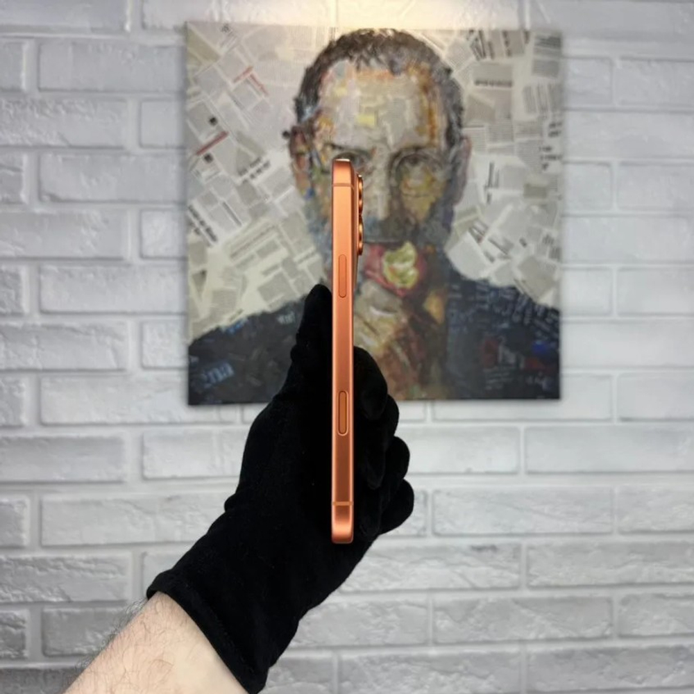 iPhone 17 Pro Max, 256 ГБ, eSIM, б/у