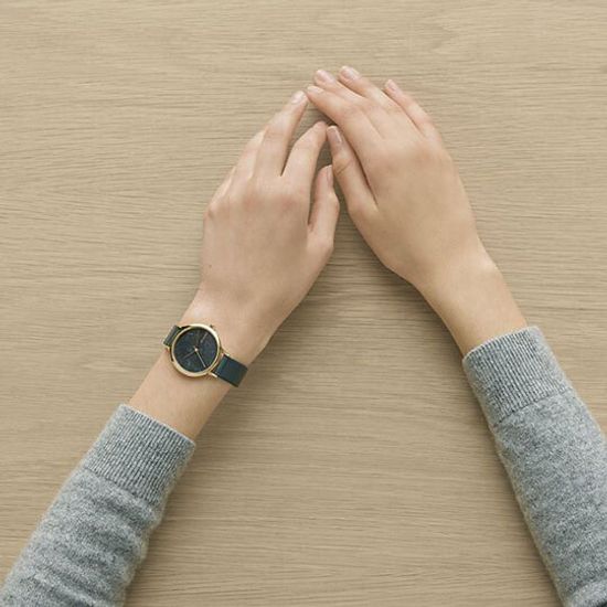 Женские часы Skagen SKW2720