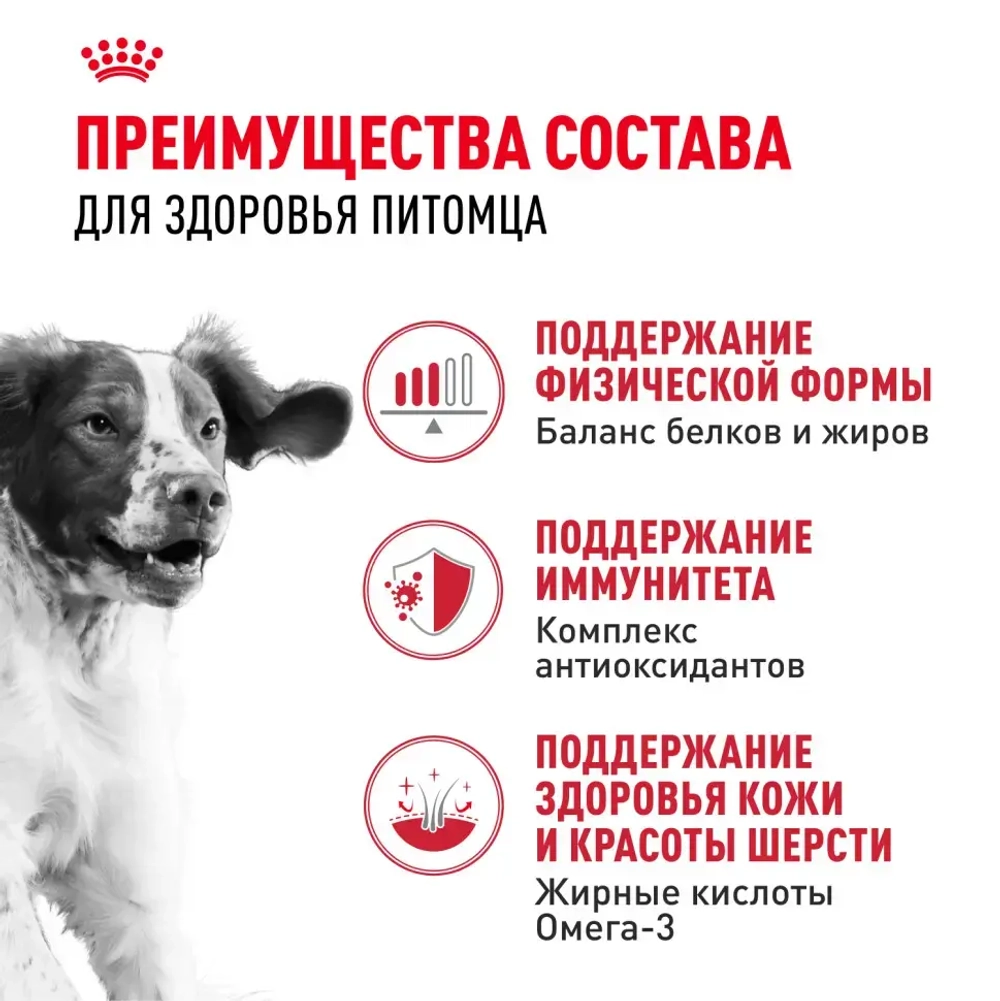 Royal canin medium adult сухой корм для взрослых собак средних пород от 12 месяцев до 7 лет, со свининой - 3 кг