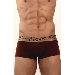 Мужские трусы хипсы коричневые с косой резинкой Calvin Klein Bronze Boxer Italics Brown