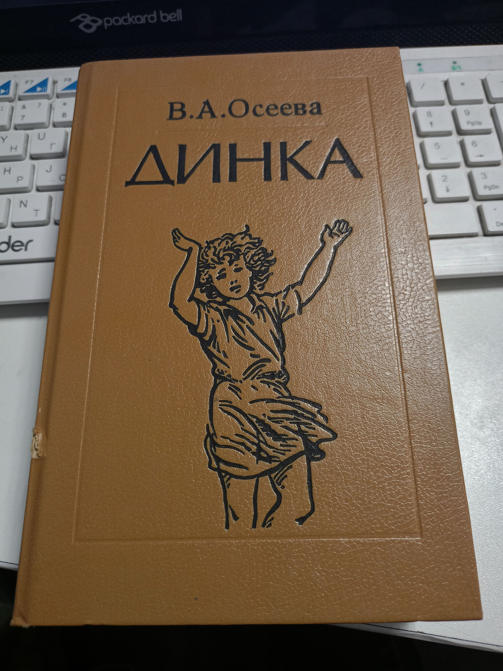 Динка