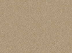 Искусственная кожа Best / Бест