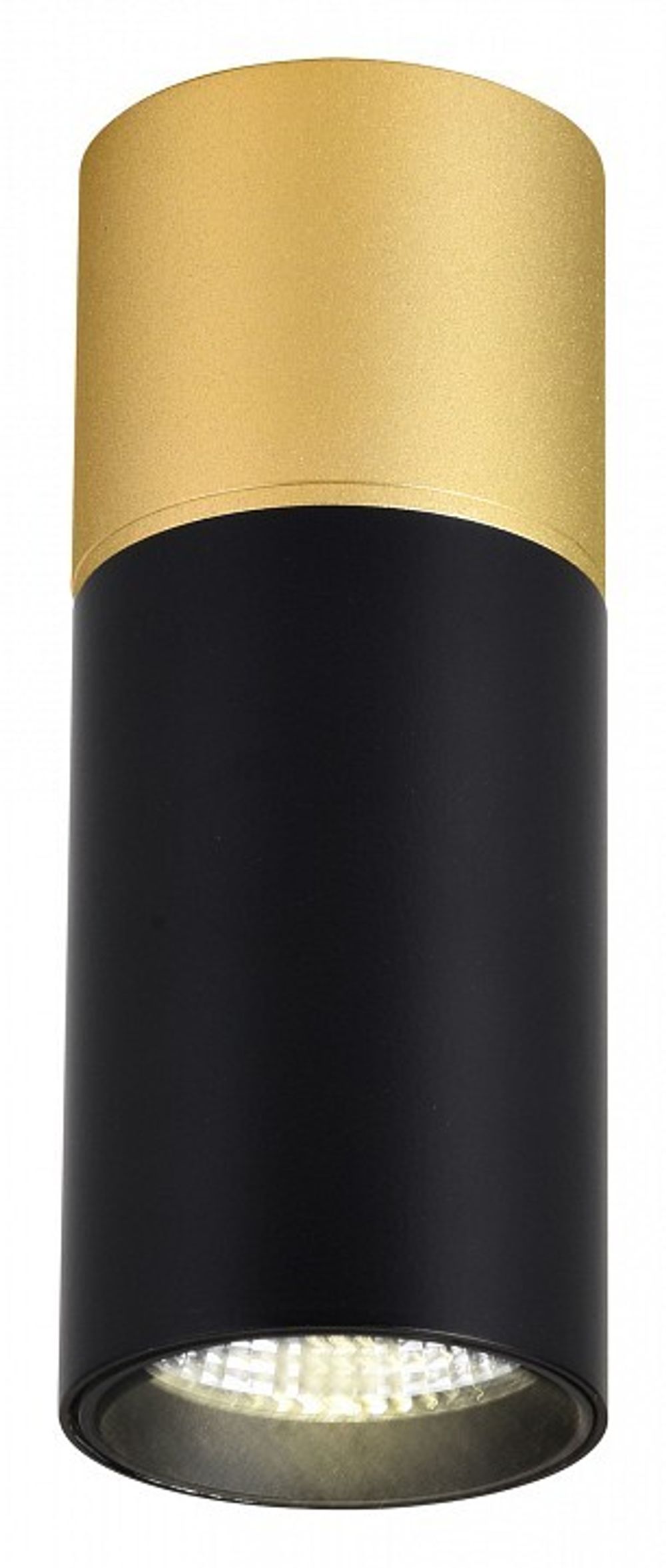 Накладной светильник Favourite Deepak 3074-1C