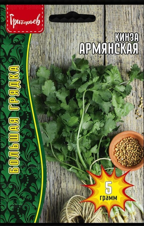 Кинза Армянская