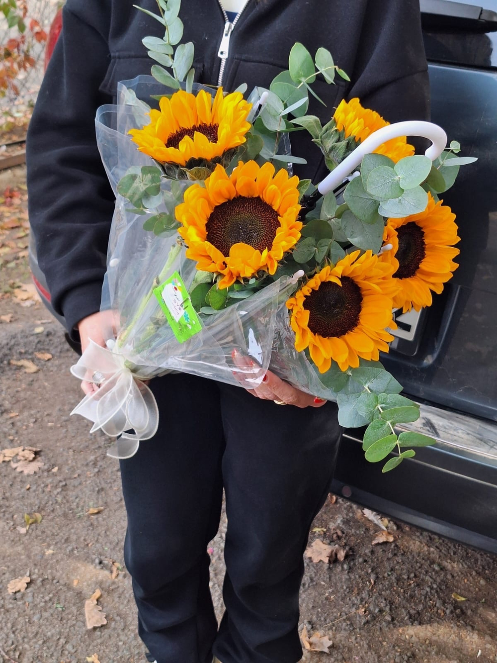 Подсолнухи в зонтике