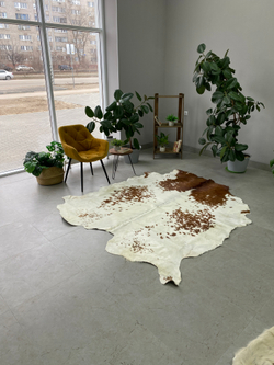 Коровья шкура на пол натуральная. 200 х 190 см