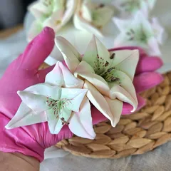 Зефир в коробке «Пион и ранункулюсы» / 23*16 см