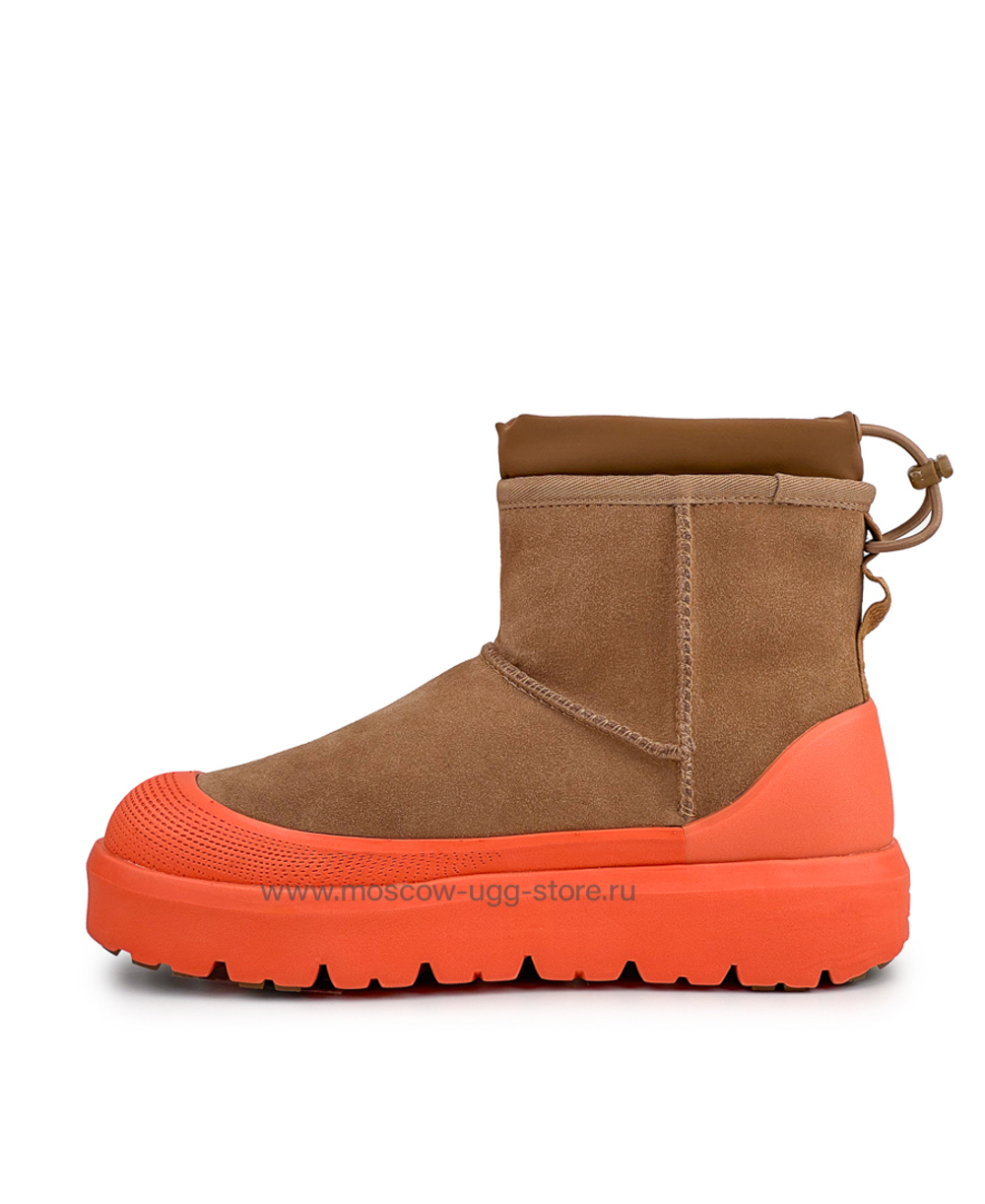 MINI WEATHER HYBRID - Chestnut Orange