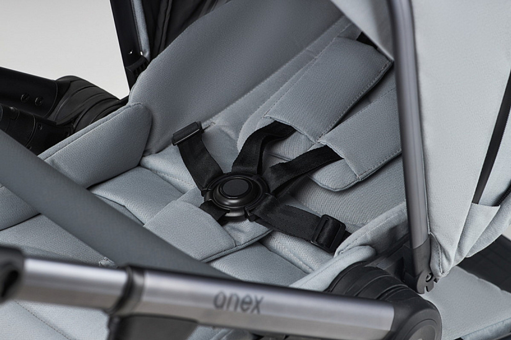 Детская коляска Anex l/type 2 в 1 lt-10t frost