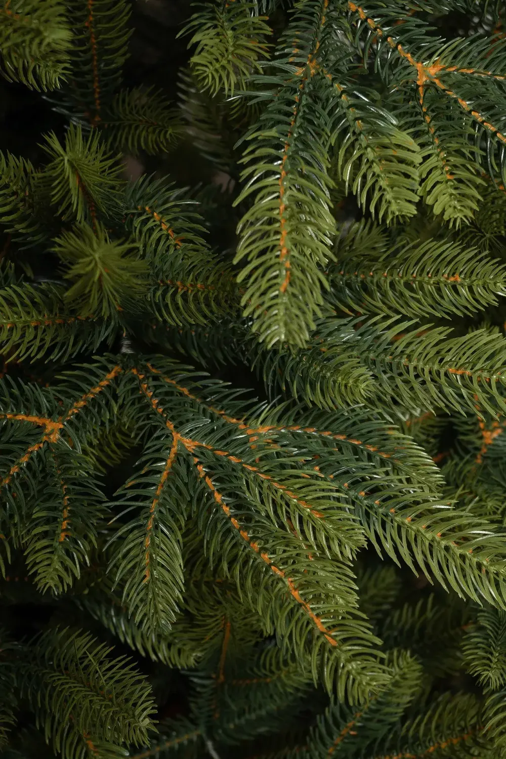 Ель искусственная "Приморская" (Литая хвоя) от 1,8 м до 2,4 м