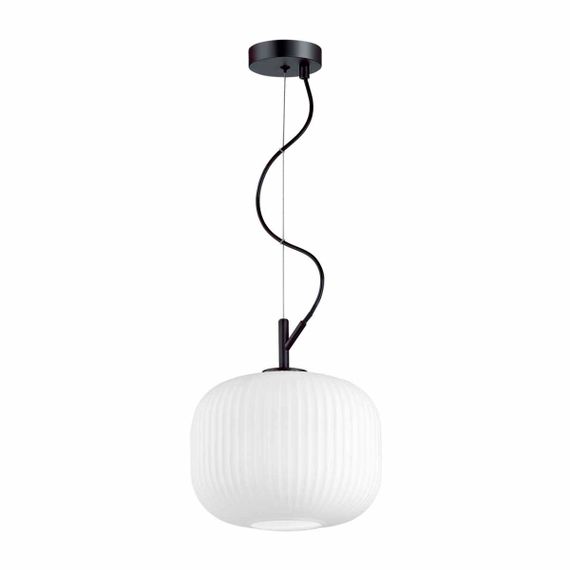 Подвесной светильник Odeon Light Pendant Roofi 4753/1