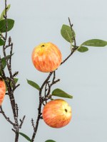 Ветка с яблоками