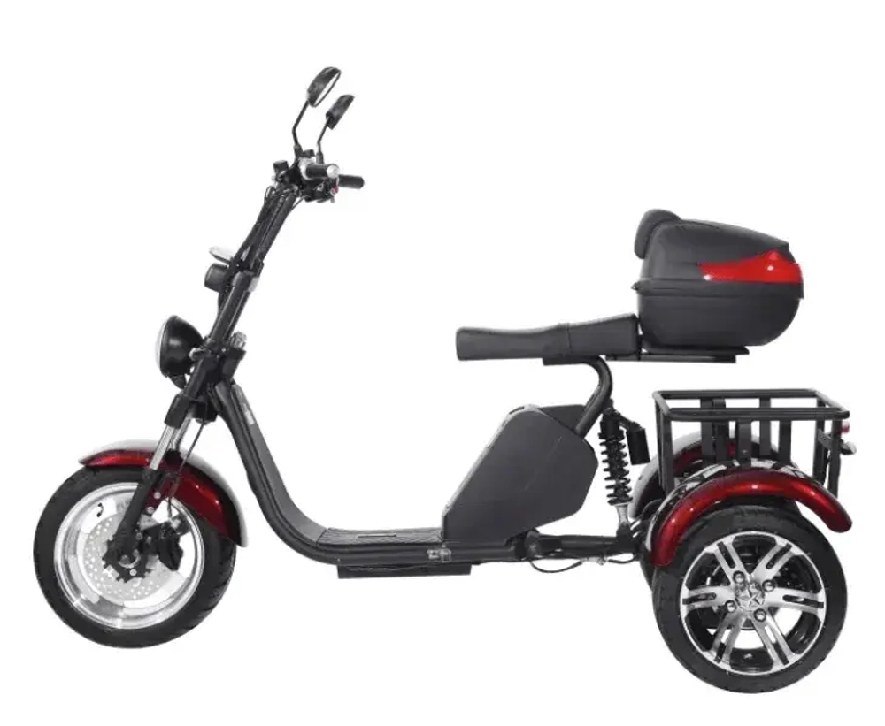 Электроскутер SKYBOARD CITYCOCO TRIKE BR80