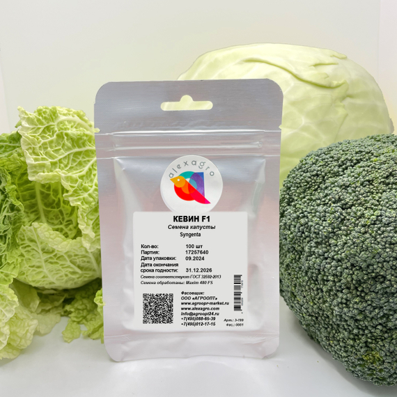 КЕВИН F1 семена капусты белокочанной Syngenta купить – фото 3