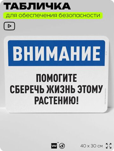 Табличка для обеспечения безопасности "Внимание, помогите сберечь жизнь этому растению", для офиса, по охране труда для предприятия, организаций, 40х30 см, Silver Plane x Айдентика Технолоджи