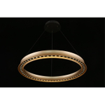 Подвесная светодиодная люстра Aployt Justyna APL.787.03.50