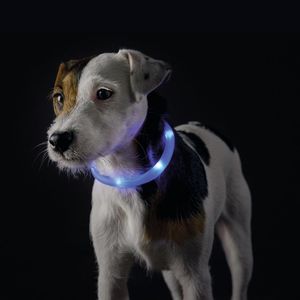 Светящийся шнурок на шею, Hunter LED Yukon 20-70 см, голубой