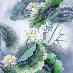 Коллекция Grafika Natura