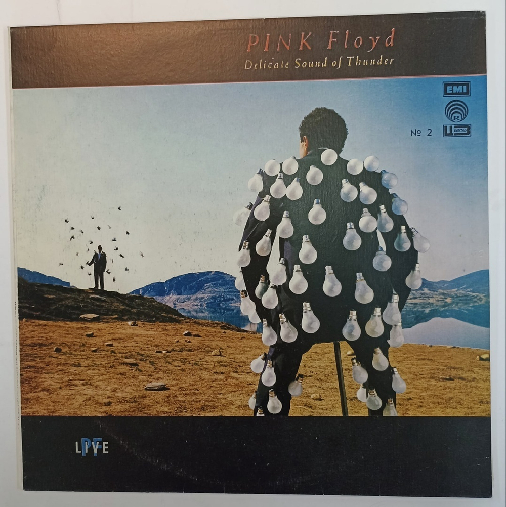 Pink Floyd Delicate Sound Of Thunder