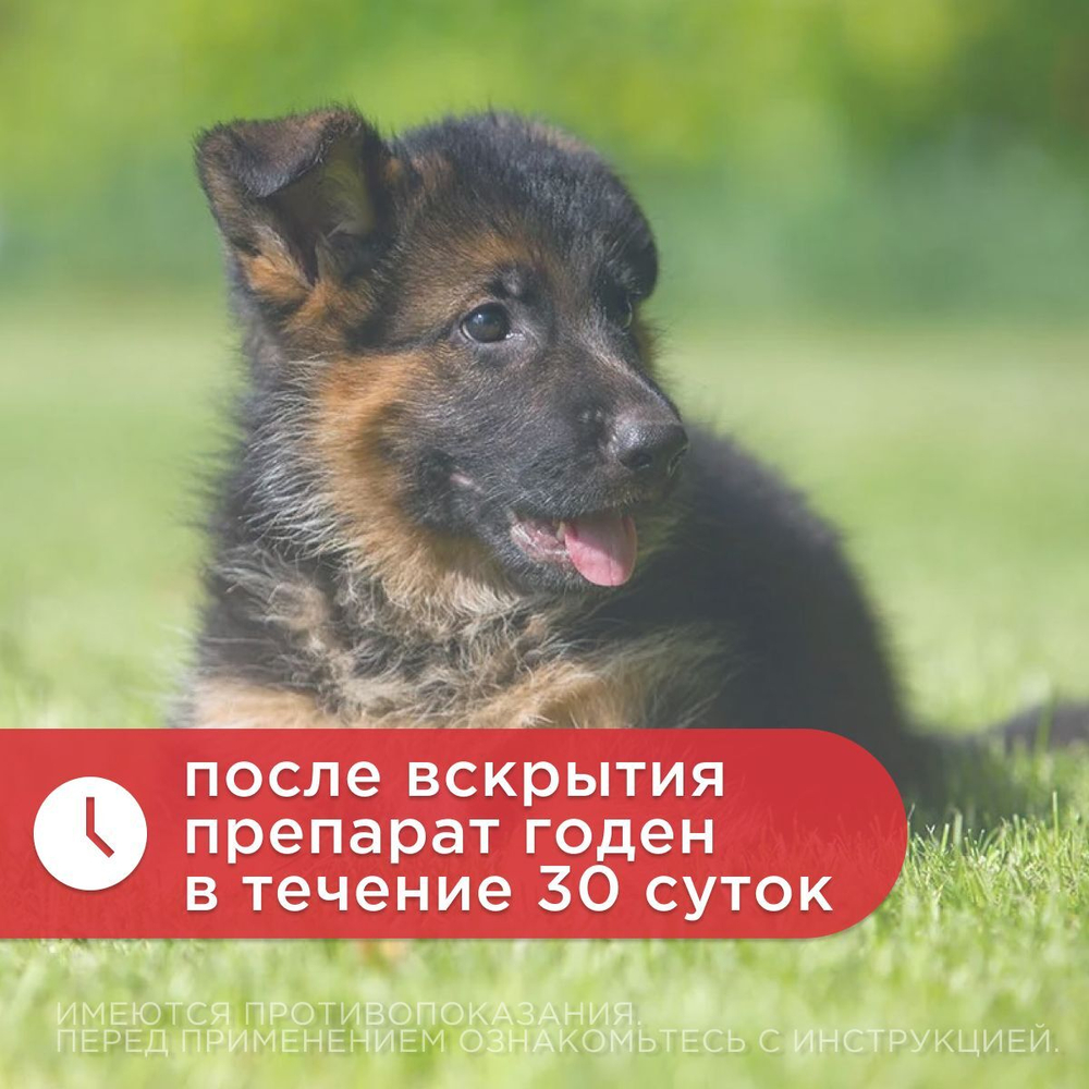 Капли ушные АВЗ Анандин плюс для собак и кошек, 5 мл