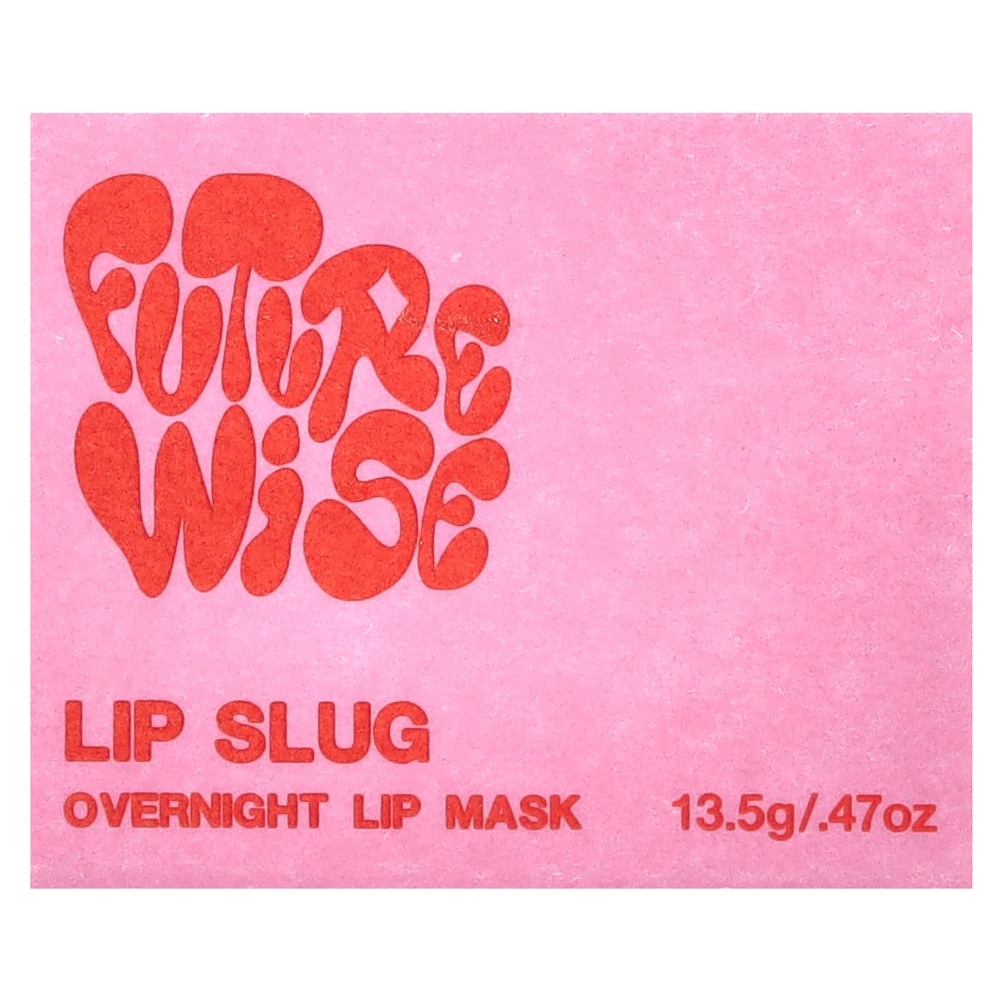 Futurewise, Lip Slug, ночная маска для губ, 13,5 г (0,47 унции)