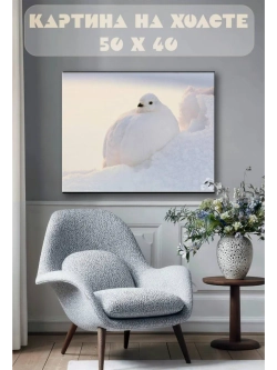 Картина на стену 40 X 50 Белый голубь