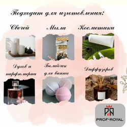 Prof-Royal отдушка парфюмерная OPALE NOIRE для свечей, мыла и диффузоров, 100 мл