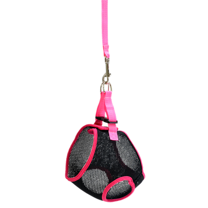 ZOONIK Шлейка-жилетка + поводок для собак