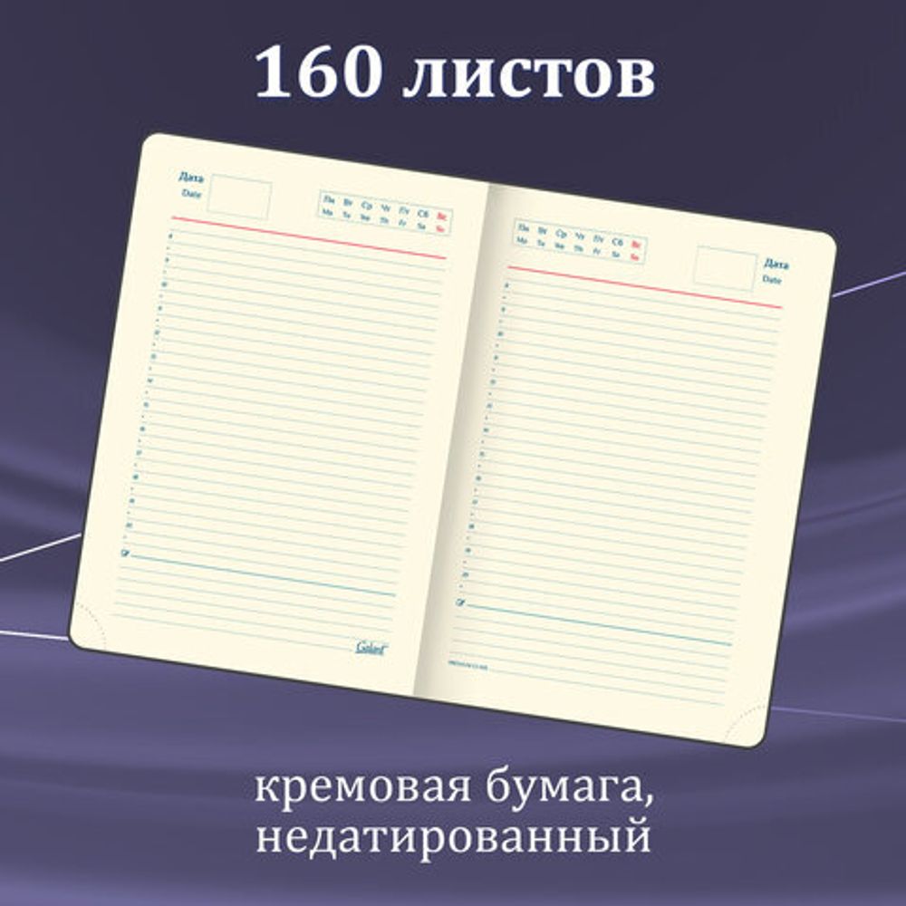 Ручка шариковая GALANT "Black", корпус черный, ежедневник недатированный А5 черный, пакет, 880904