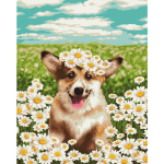 Картина рисование по номерам 40*50 см « Корги в ромашках GLA22