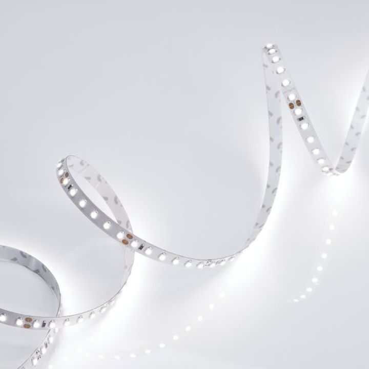 Светодиодная лента Arlight 9,6W/m 120LED/m 2835SMD холодный белый 5M 010347(2)