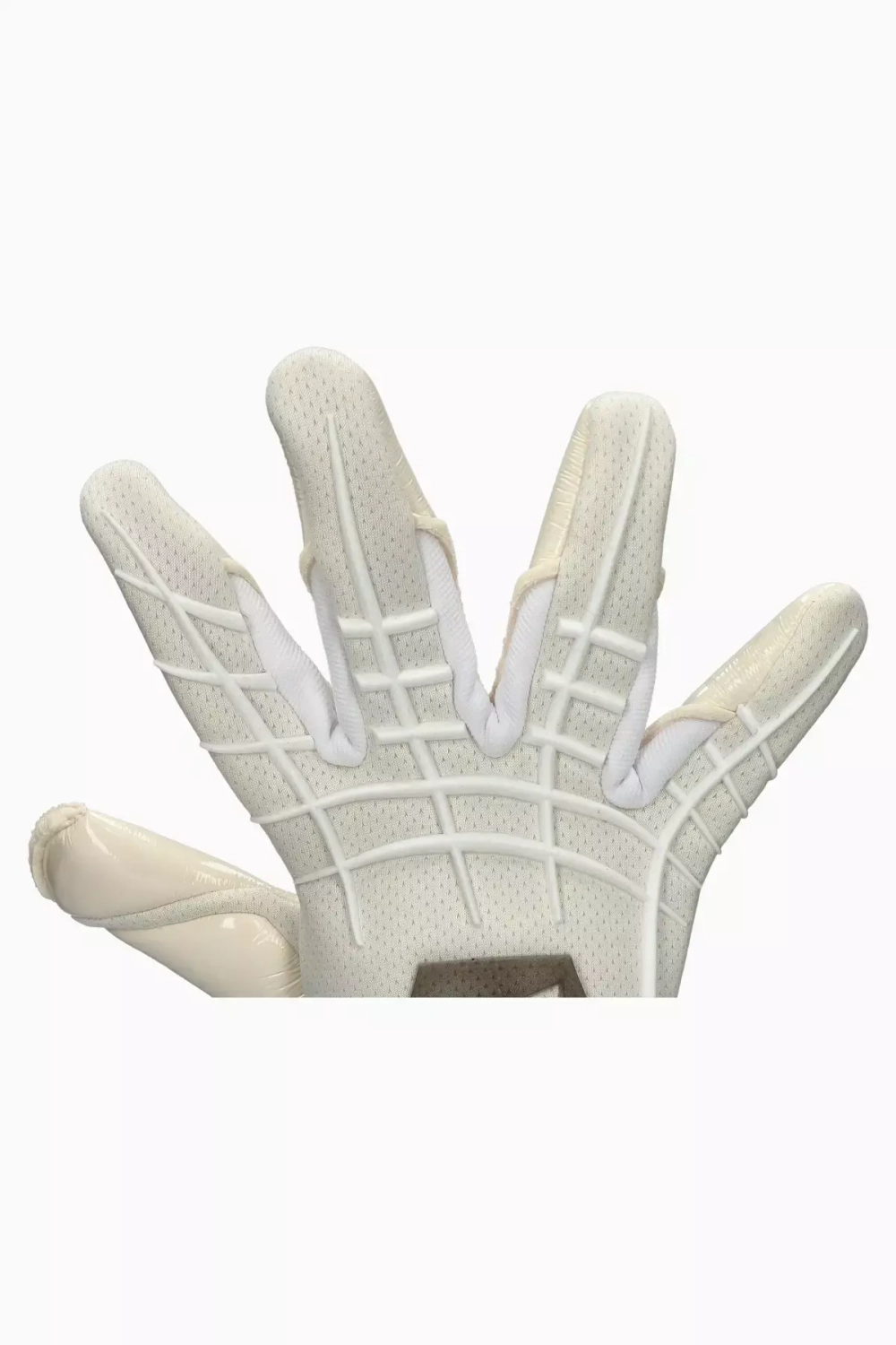 Вратарские перчатки T1TAN White Beast 3.0