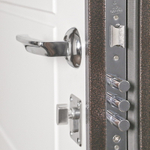 Стальная дверь "Лидер"