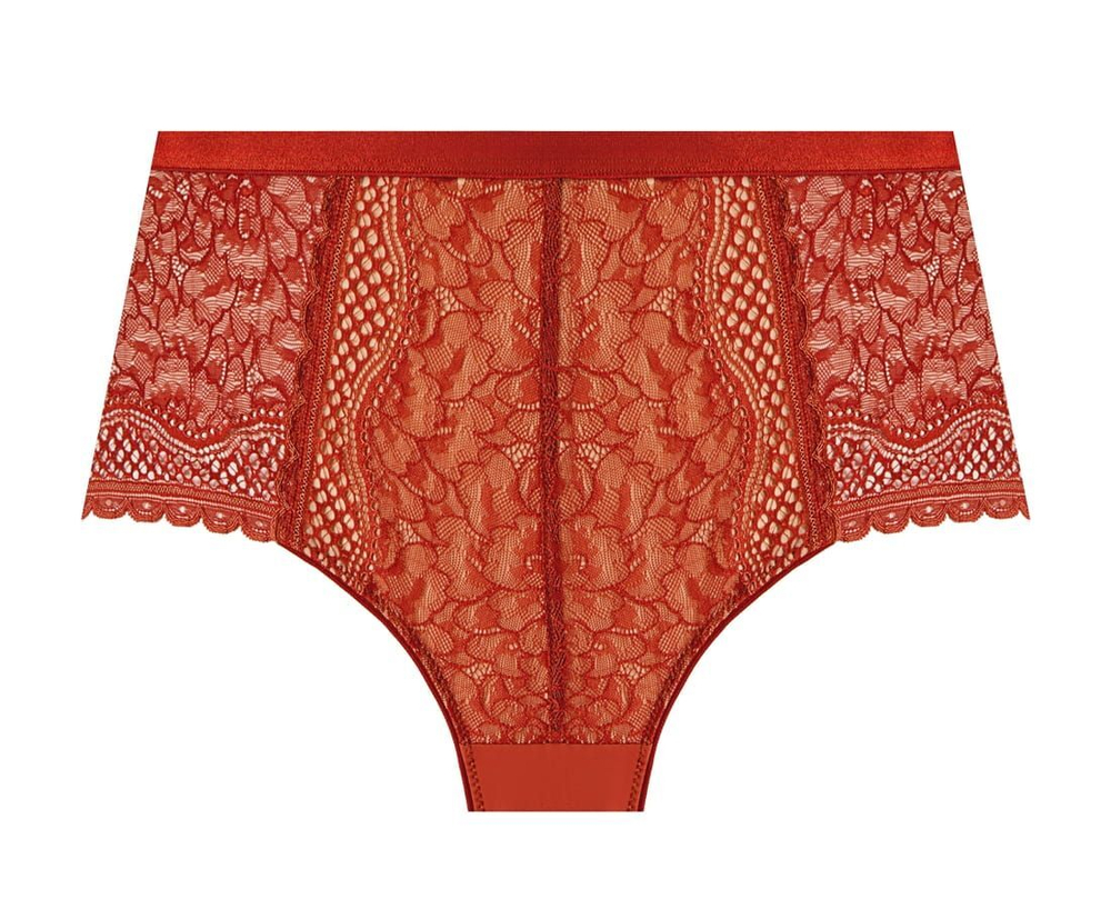 Трусики-слипы с высокой линией талии Clarisa (Размер: XL) (Цвет: терракотовый)