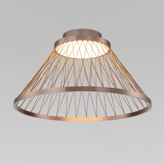 40019/1 LED / потолочный светильник / коричневый