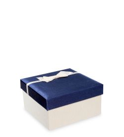 Packing Symphony WF-39/1-B Коробка «Прямоугольник» цв.бел./син.