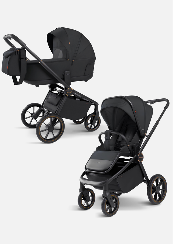 Carrello Коляска 2 в 1 Epica (Space Black 2025)