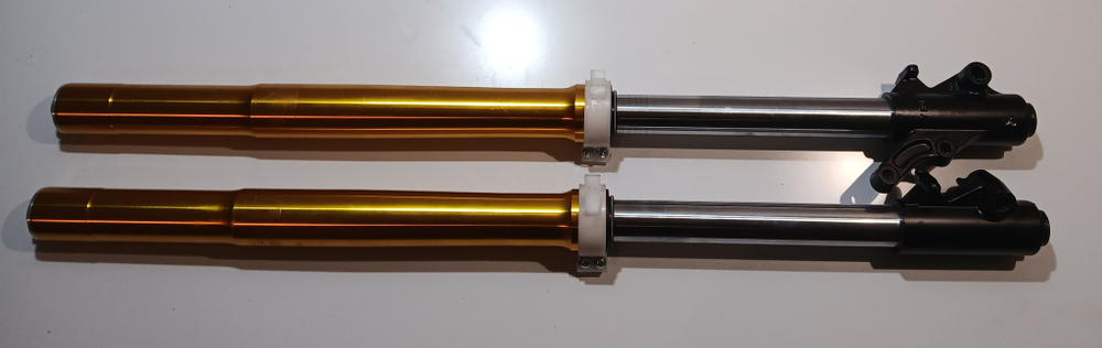 Амортизатор L=875 передний d48x51 (перья, компл.) Мотоцикл ENDURO ST 250