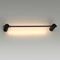 Настенный светодиодный светильник Odeon Light Dalia 4395/6WL