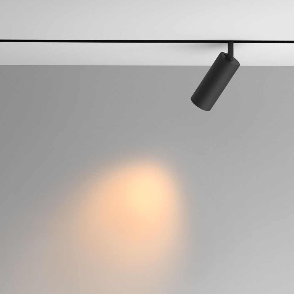 Трековый магнитный светодиодный светильник Maytoni   TR097-2-12W2.7K-M-BB