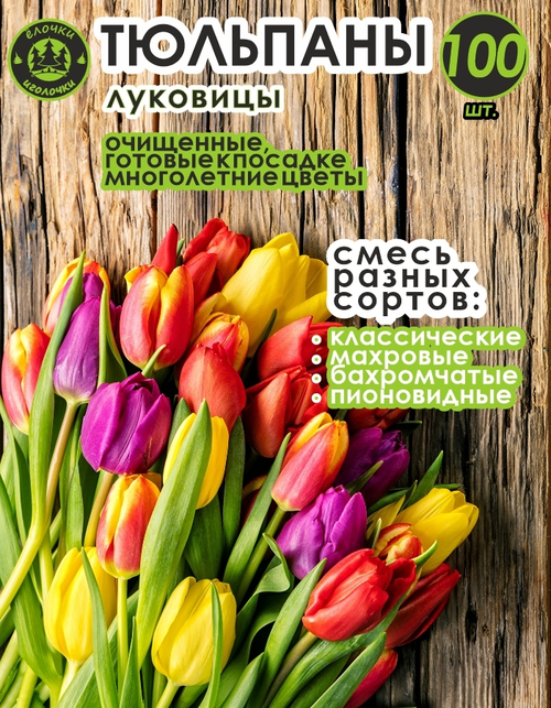 Тюльпан Луковица, Микс сортов, 100шт