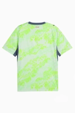 Футболка Puma Швейцария 2026 Away - зеленый