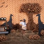 Шар (12''/30 см), Мокко (070), пастель, 12 шт.