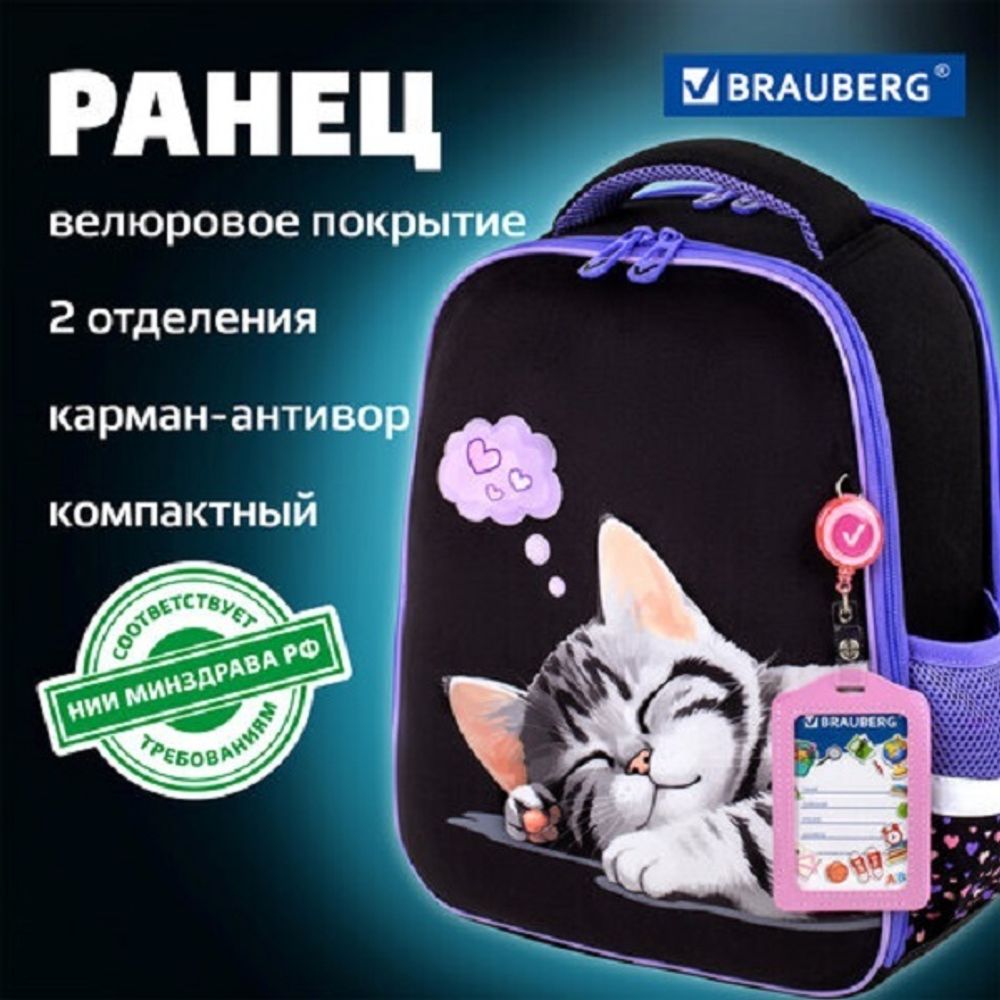 Ранец Brauberg Fit Sleeping kitten 38х27х14см, 2 отд., с анатомической спинкой, 16л.